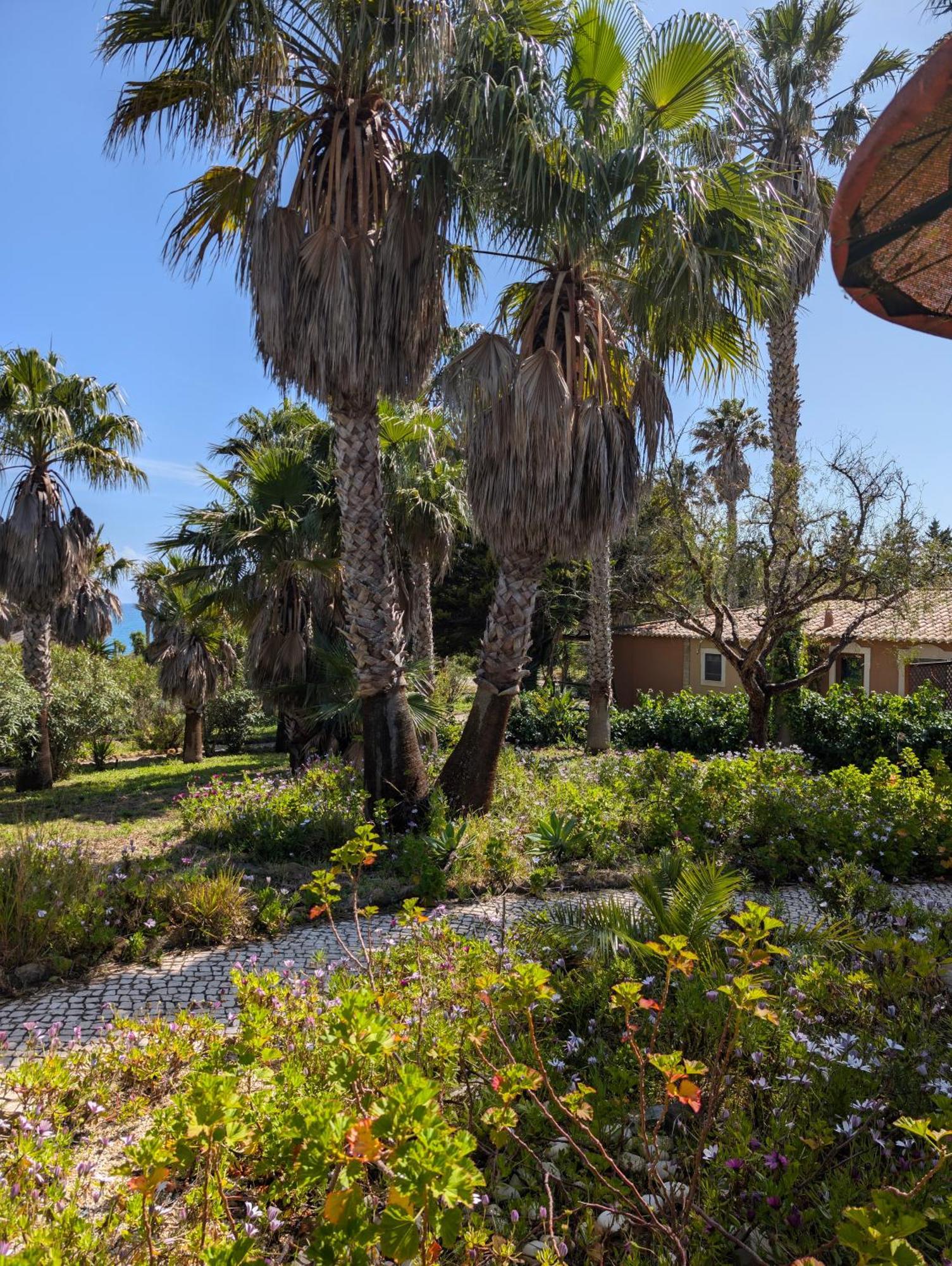 Quinta Do Mar - Country & Sea Village Senhora da Luz 외부 사진